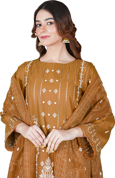Home 6 Bareera Fashion Offer 1
